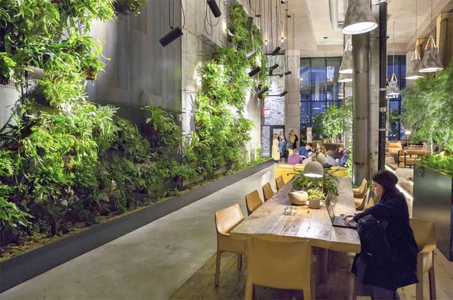 1-hotel-brooklyn-biophilic-design